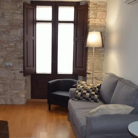 Housing Ginesta 9 *